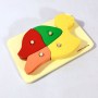 PZCA-054-Stacking Turtle B